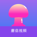 WWW,333se·COM网站APPAPP应用